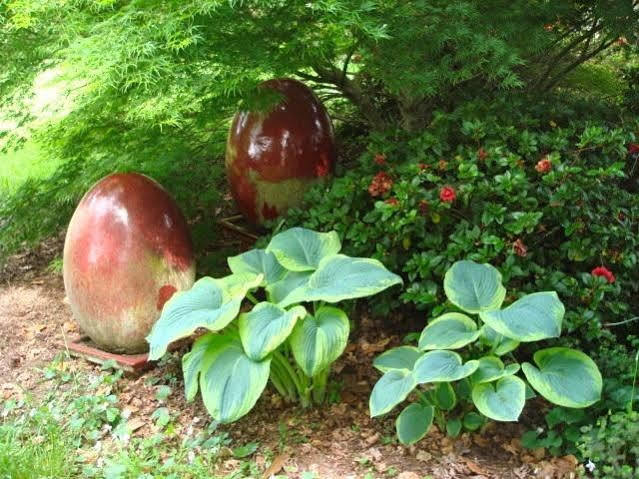 Doolans Country Retreat B&B Роторуа Екстериор снимка